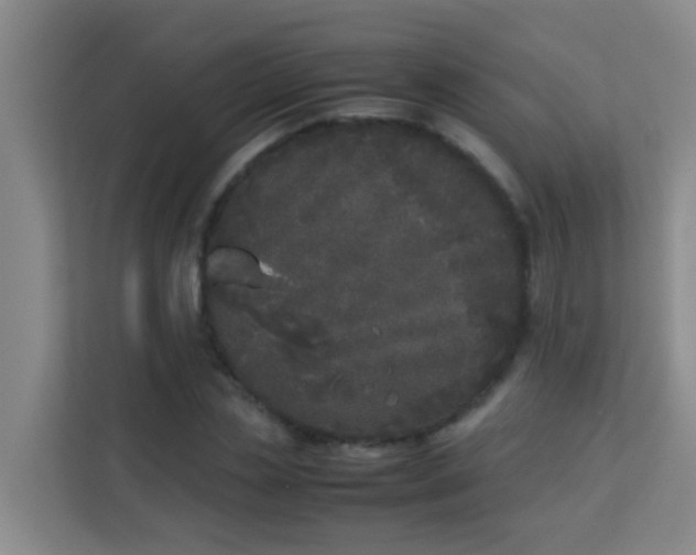 X0000113930829200910091600