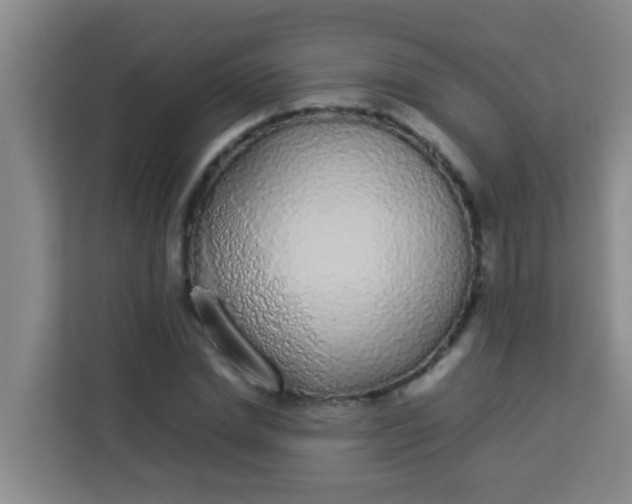 X0000113930830200910091600