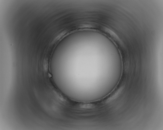 X0000113930833200910091600