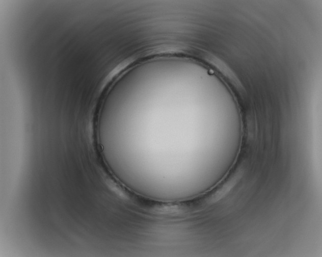 X0000113930834200910091600