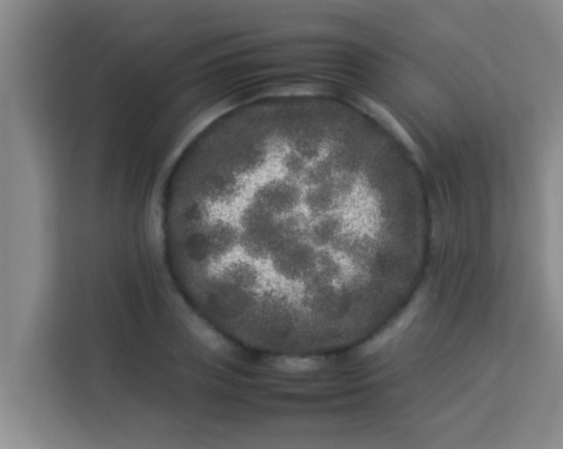 X0000113930835200910091600