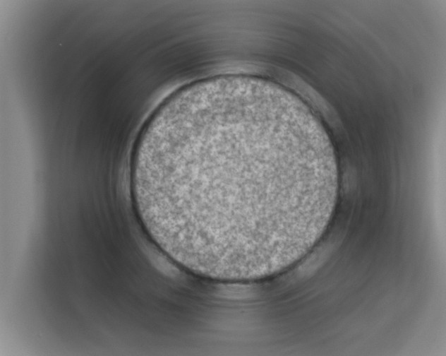 X0000113930836200910091600