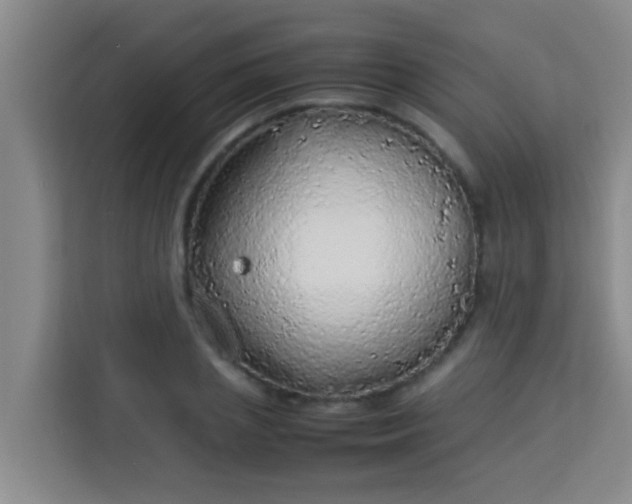 X0000113930837200910091600