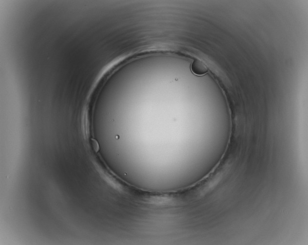 X0000113930838200910091600