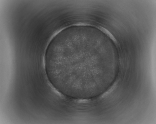 X0000113930839200910091600