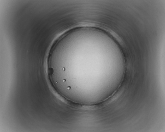 X0000113930840200910091600