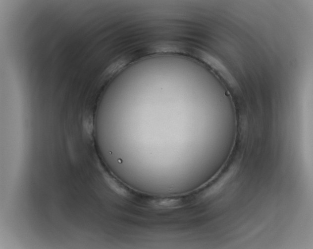 X0000113930841200910091600