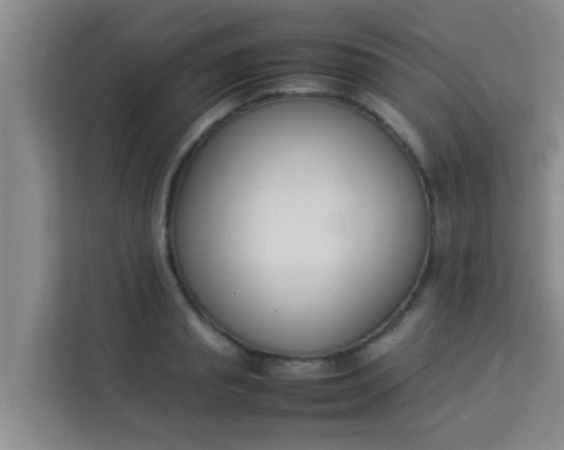 X0000113930845200910091600