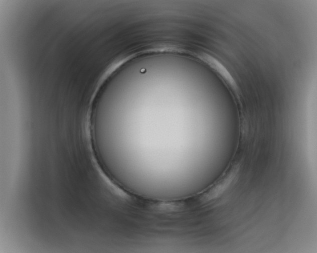 X0000113930847200910091600