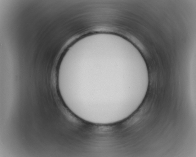 X0000113930848200910091600