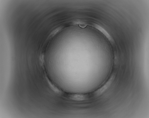 X0000113930849200910091600