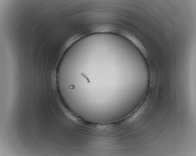 X0000113930850200910091600