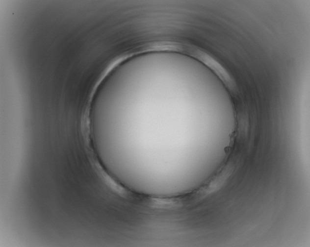 X0000113930852200910091600