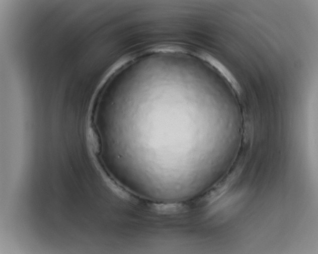 X0000113930853200910091600