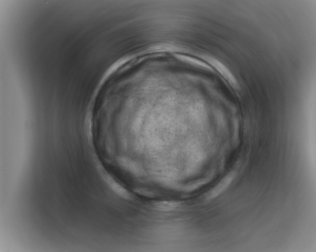 X0000113930854200910091600