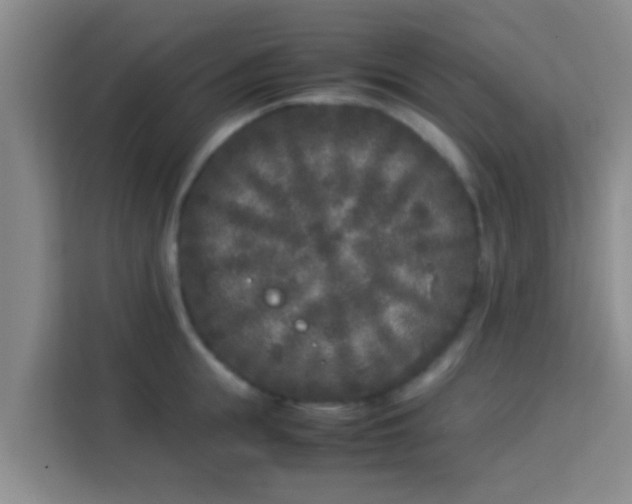 X0000113930855200910091600