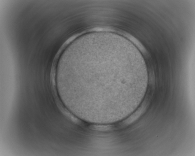 X0000113930856200910091600