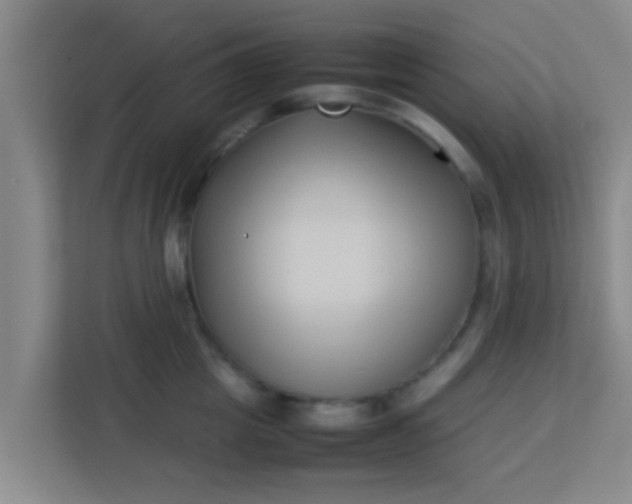 X0000113930857200910091600