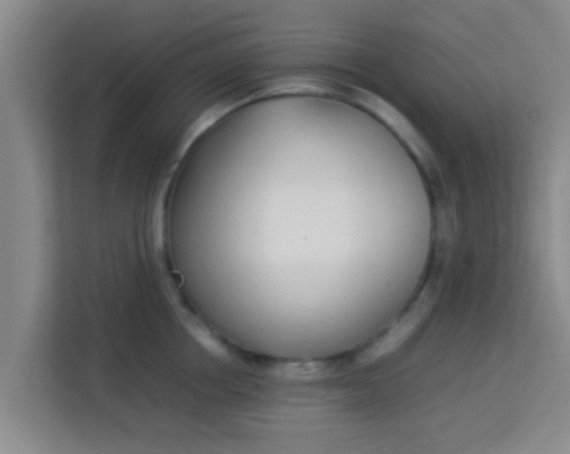 X0000113930858200910091600