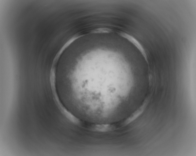 X0000113930859200910091600