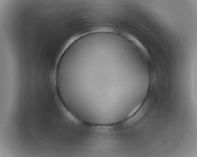 X0000113930860200910091600