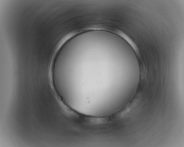 X0000113930861200910091600