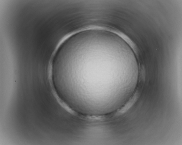 X0000113930862200910091600