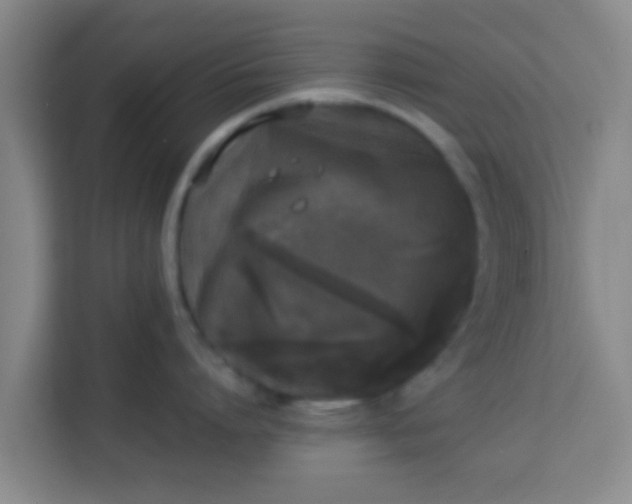 X0000113930864200910091600