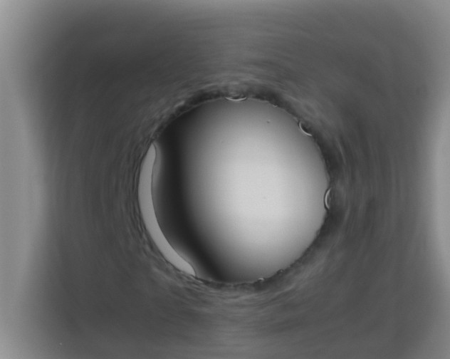 X0000113930865200910091600