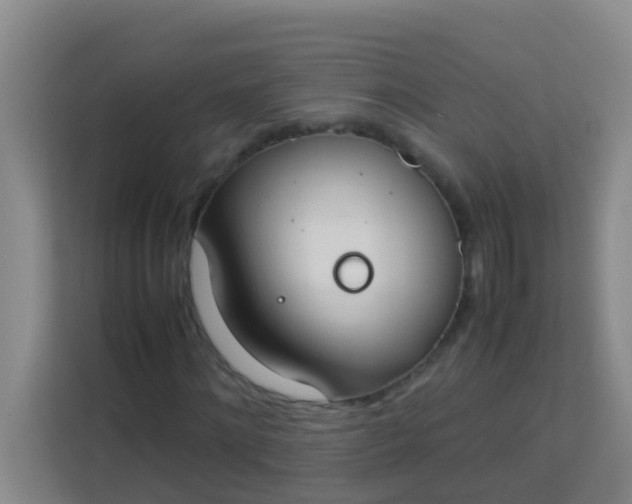 X0000113930868200910091600