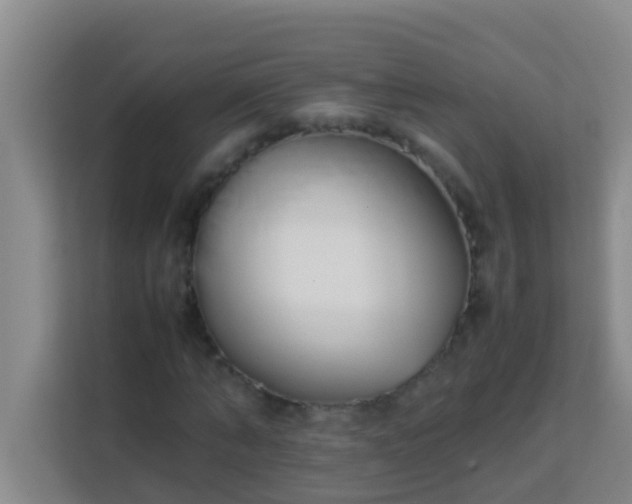 X0000113930870200910091600