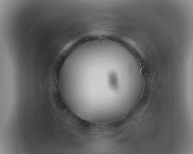 X0000113930871200910091600