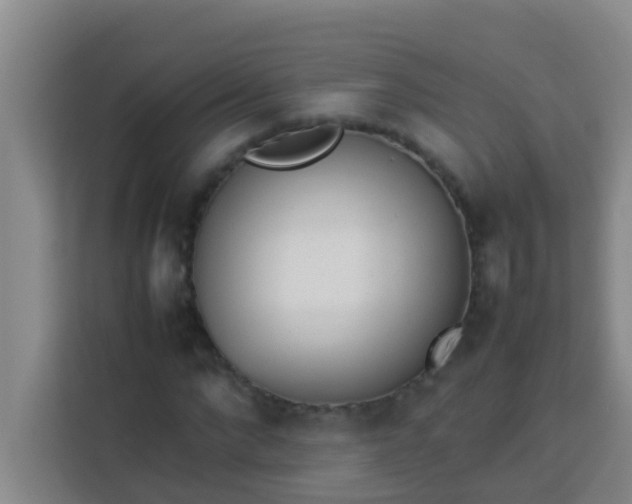 X0000113930872200910091600