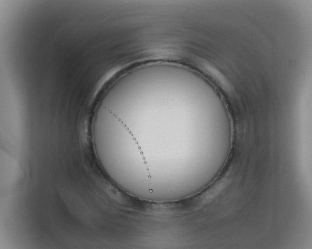 X0000113930875200910091600