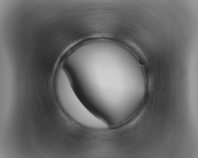 X0000113930876200910091600