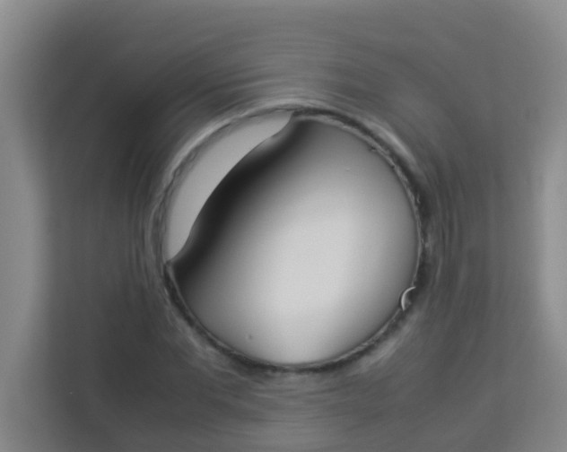 X0000113930877200910091559