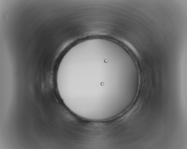 X0000113930878200910091559