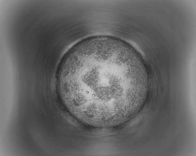 X0000113930879200910091559