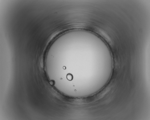 X0000113930883200910091559