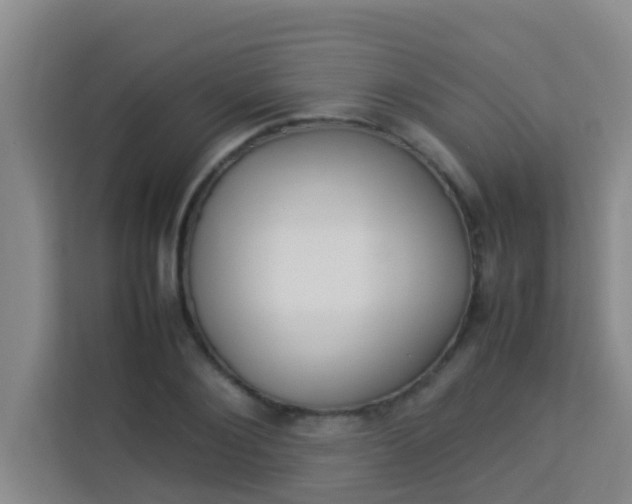 X0000113930884200910091559