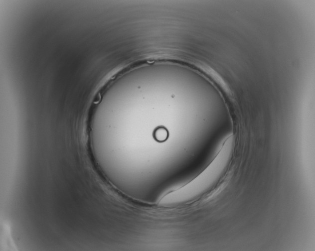 X0000113930885200910091559