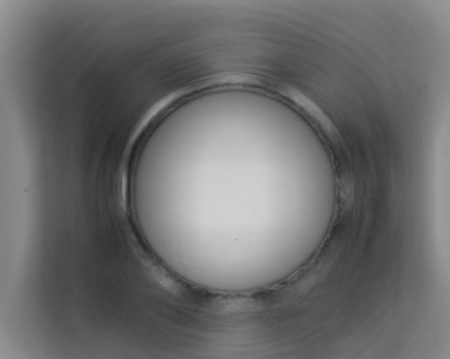 X0000113930886200910091559