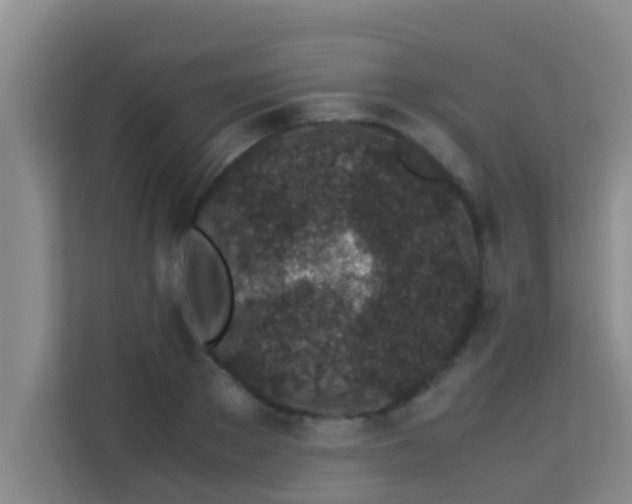 X0000113930889200910091559