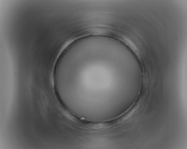 X0000113930891200910091559