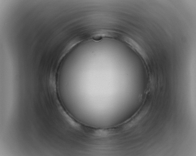 X0000113930898200910091559