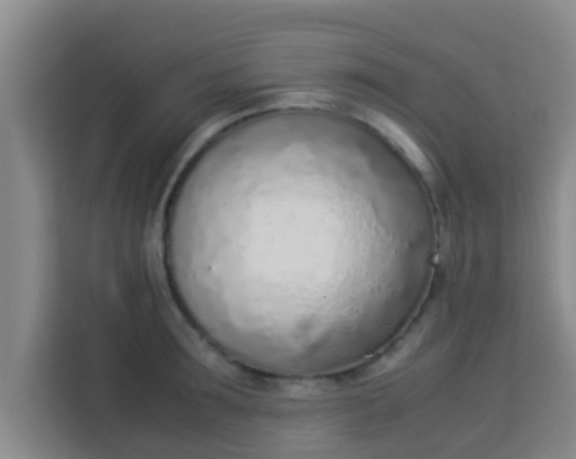 X0000113930899200910091559