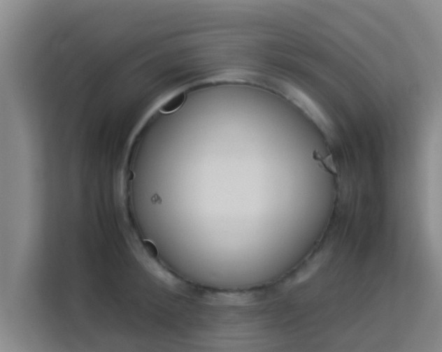 X0000113930900200910091559