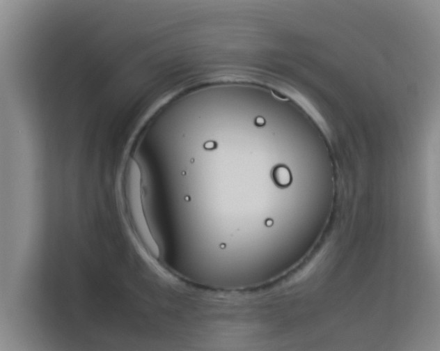 X0000113930901200910091559