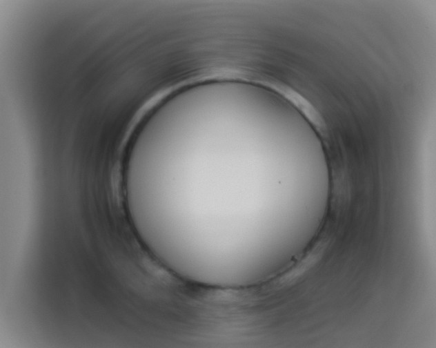 X0000113930904200910091559