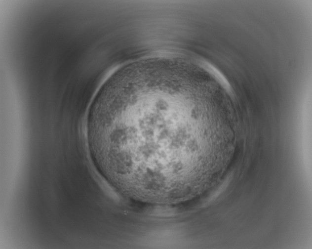 X0000113930907200910091559